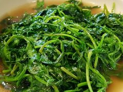蚊蚊头（野菜）-旺山·浪头人家