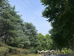 -宜兴龙背山森林公园
