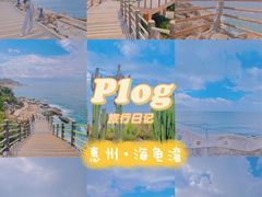 -广东惠东海龟国家级自然保护区