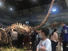 -自贡恐龙博物馆