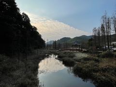 -广州市石门国家森林公园