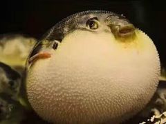 -彩虹之约•淮扬家宴(亚运村店)