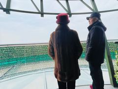 -黄海国家森林公园