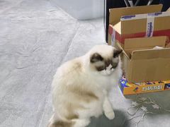 -零纪元VR体验馆·桌游(黄浦店)