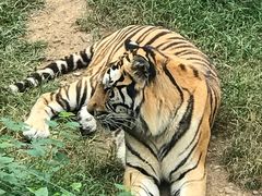 -石家庄市动物园