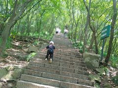 -紫金山山顶公园