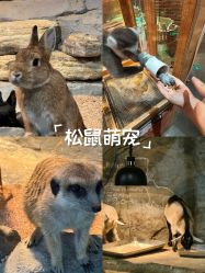 -Zoolung Zoolung动物主题公园(海信广场店)