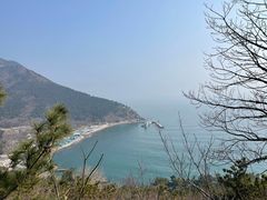 -开海·红岛海鲜虾水饺(石老人店)
