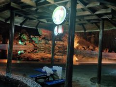 -金孔雀温泉旅游度假村
