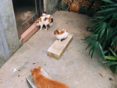 -广州兰圃