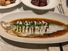 豉油蒸白水鱼-金美华轩(东方路齐鲁店)