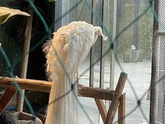 -绿色星球动物主题公园