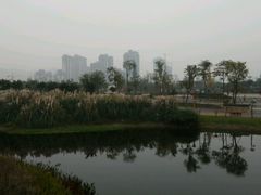 -眉山湿地公园(东坡区)