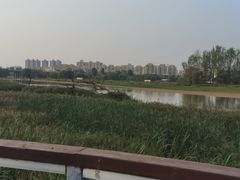 -西安浐灞国家湿地公园
