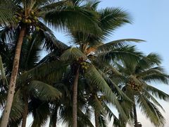 -石梅湾艾美度假酒店