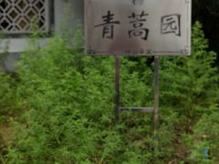 -广州神农草堂中医药博物馆