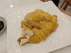 -乔家栅(襄阳南路店)