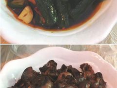 -龙小海荆沙鸽子店(瑞安街店)
