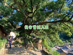 -杨家堂村