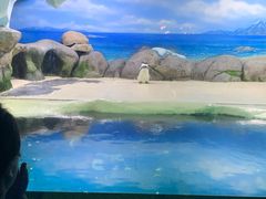 -厦门海底世界