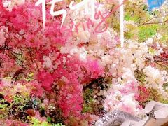 -深圳国际园林花卉博览园