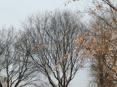 -汉景帝阳陵博物院