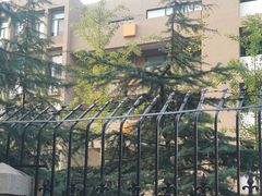 -山东省青岛第二中学(江西路分校)