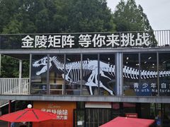 -金陵矩阵(聚宝山公园店)