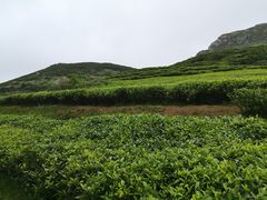 -嵛山岛