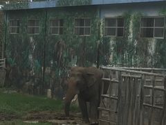 -西安秦岭野生动物园