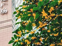 -上海置地广场(南京东路店)