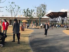 -上海长兴岛郊野公园