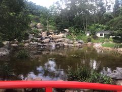 -深圳仙湖植物园-停车场