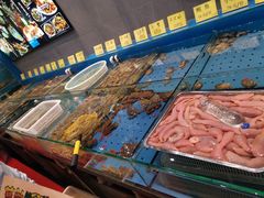 -潮庭·大连海鲜·炭火烧烤·扇贝王(大连店)