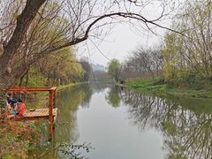 -新江湾城公园