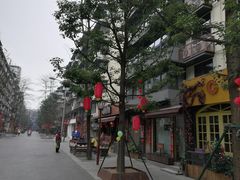 -泡桐树街