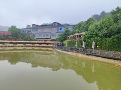 -铁山坪森林公园