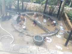 -100蛋泥浆浴