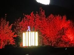 -禅宗少林·音乐大典