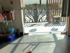 -宠物之家Pets Home 宠物寄养酒店