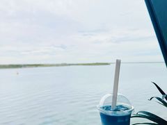 -抱抱地球咖啡馆(国家海洋博物馆店)