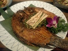-紫滇源云南生态菜(丹凤街店)