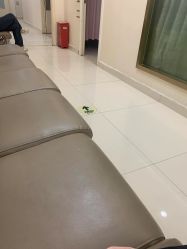-重庆五洲妇儿医院·妇幼保健