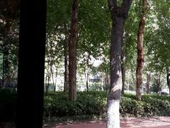 -芙蓉堂(武汉天地店)
