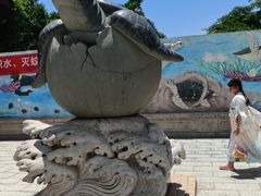 -广东惠东海龟国家级自然保护区