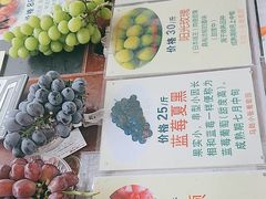 -马陆小张葡萄园农家乐