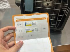 -瑞派名望志远动物医院·猫科·內科·异宠专科(直港大道店)