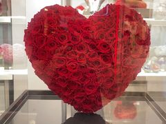 -ROSEONLY诺誓(广州K11店)