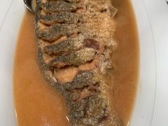 红烧黄河大鲤鱼-阿庄新豫菜(航海东路店)