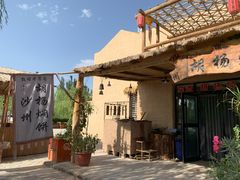-沙洲胡杨焖饼